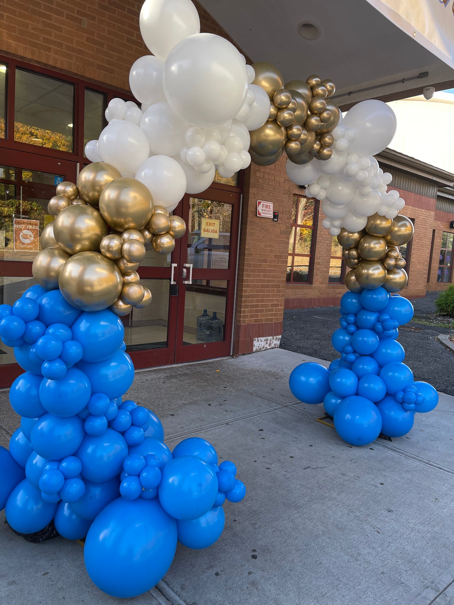 Organic Balloon Arch
