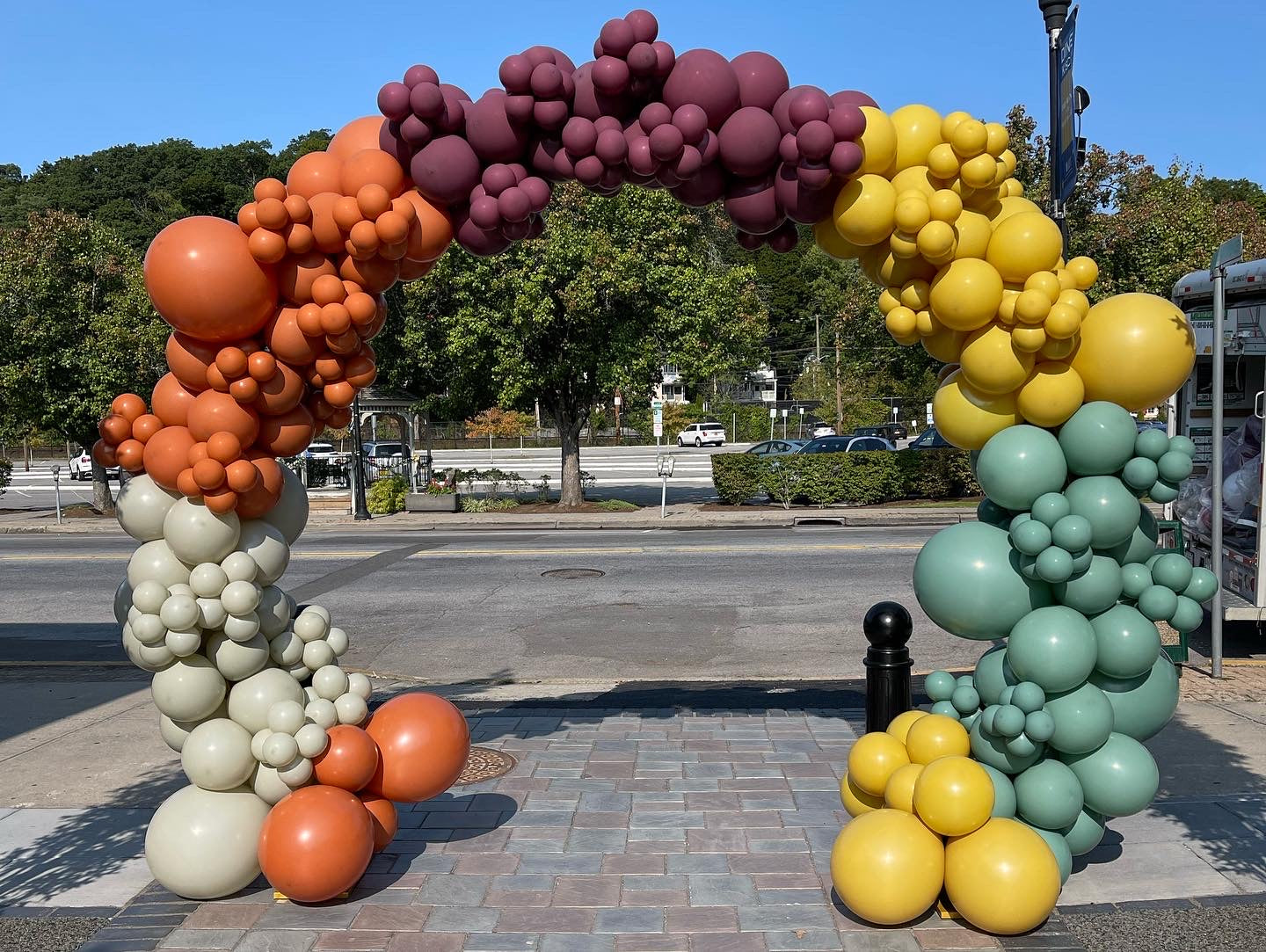 Organic Balloon Arch